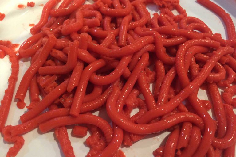 Realistic Edible Worms